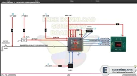 11.webp