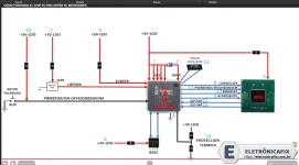 14.webp